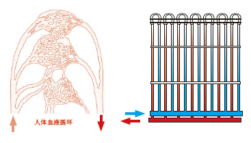 ?毛細(xì)管輻射空調(diào)系統(tǒng)效果好不好？毛細(xì)管輻射空調(diào)原理